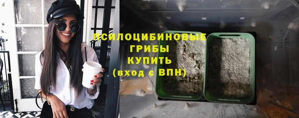 мдпв Бугульма